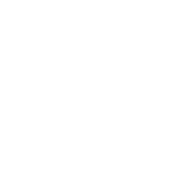 Creative Problem Solving